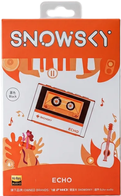 Плеер FiiO Snowsky ECHO в упаковке.